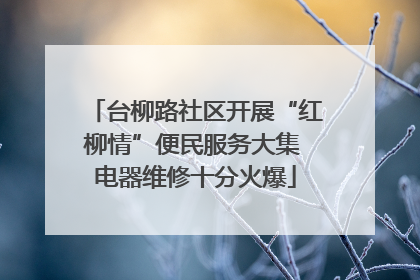 台柳路社区开展“红柳情”便民服务大集 电器维修十分火爆