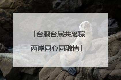 台胞台属共裹粽 两岸同心同融情