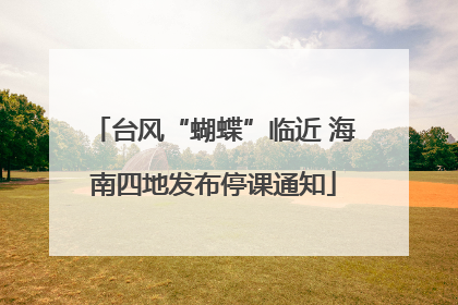 台风“蝴蝶”临近 海南四地发布停课通知