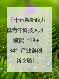 十五条新政力挺青年科技人才 赋能“13+34”产业链创新突破