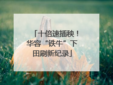 十倍速插秧！华容“铁牛”下田刷新纪录