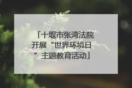 十堰市张湾法院开展“世界环境日”主题教育活动