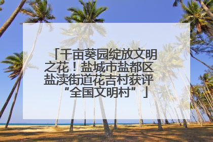 千亩葵园绽放文明之花！盐城市盐都区盐渎街道花吉村获评“全国文明村”