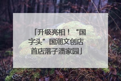 升级亮相！“国字头”国潮文创店首店落子潘家园