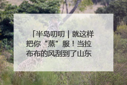 半岛叨叨｜就这样把你“蒸”服！当拉布布的风刮到了山东馒头界……