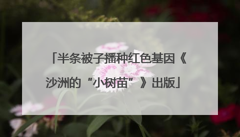 半条被子播种红色基因《沙洲的“小树苗”》出版