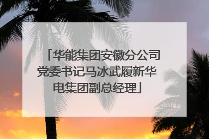 华能集团安徽分公司党委书记马冰武履新华电集团副总经理