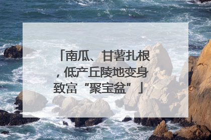 南瓜、甘薯扎根，低产丘陵地变身致富“聚宝盆”