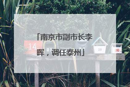 南京市副市长李晖，调任泰州