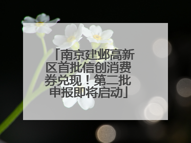 南京建邺高新区首批信创消费券兑现！第二批申报即将启动
