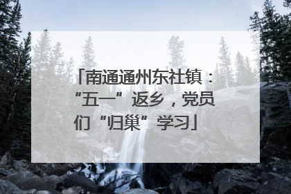 南通通州东社镇：“五一”返乡，党员们“归巢”学习