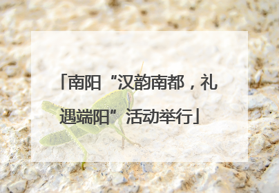 南阳“汉韵南都，礼遇端阳”活动举行