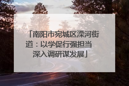 南阳市宛城区溧河街道：以学促行强担当 深入调研谋发展