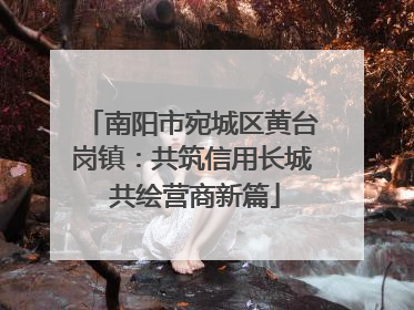 南阳市宛城区黄台岗镇：共筑信用长城 共绘营商新篇