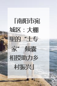 南阳市宛城区：大棚里的“土专家” 倾囊相授助力乡村振兴