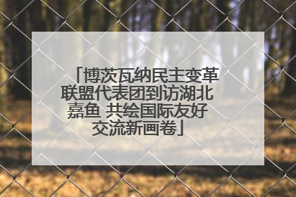 博茨瓦纳民主变革联盟代表团到访湖北嘉鱼 共绘国际友好交流新画卷