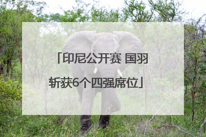 印尼公开赛 国羽斩获6个四强席位