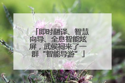 即时翻译、智慧向导、全息智能炫屏，武侯祠来了一群“智能导游”