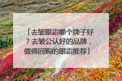 去皱眼霜哪个牌子好？去皱公认好的品牌，值得回购的眼霜推荐