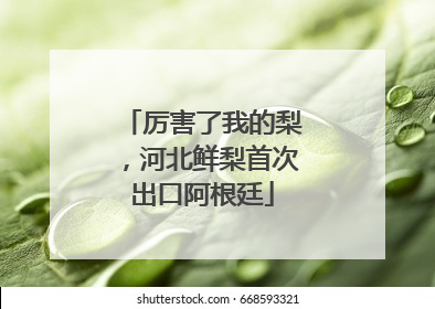 厉害了我的梨，河北鲜梨首次出口阿根廷