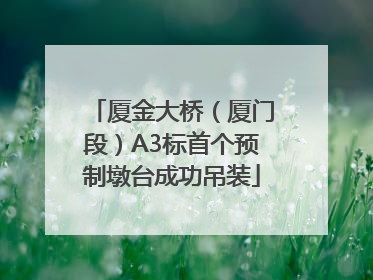 厦金大桥（厦门段）A3标首个预制墩台成功吊装