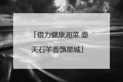借力健康湘菜 壶天石羊香飘星城