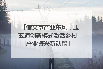 借艾草产业东风，玉玄道创新模式激活乡村产业振兴新动能