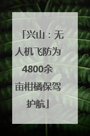 兴山：无人机飞防为4800余亩柑橘保驾护航