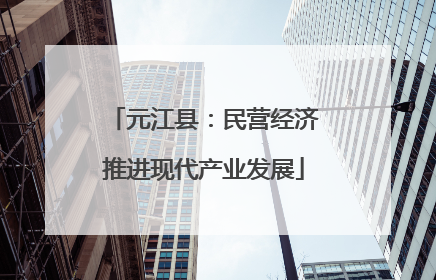 元江县：民营经济推进现代产业发展