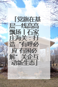 党旗在基层一线高高飘扬丨石家庄海关：打造“有呼必应 有困必解”关企互动新生态