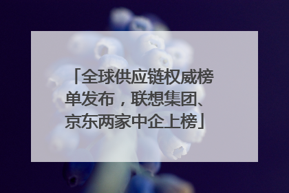全球供应链权威榜单发布，联想集团、京东两家中企上榜
