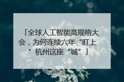 全球人工智能高规格大会，为何连续六年“盯上”杭州这座“城”