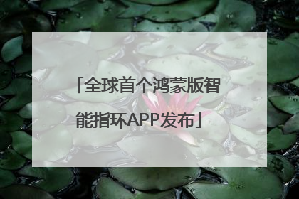 全球首个鸿蒙版智能指环APP发布