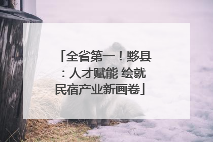 全省第一！黟县：人才赋能 绘就民宿产业新画卷