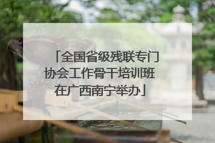 全国省级残联专门协会工作骨干培训班在广西南宁举办