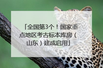全国第3个！国家重点地区考古标本库房（山东）建成启用