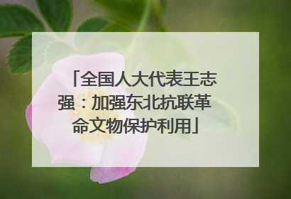 全国人大代表王志强：加强东北抗联革命文物保护利用