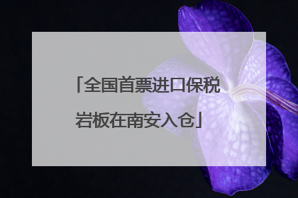 全国首票进口保税岩板在南安入仓