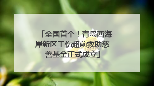 全国首个！青岛西海岸新区工伤超前救助慈善基金正式成立