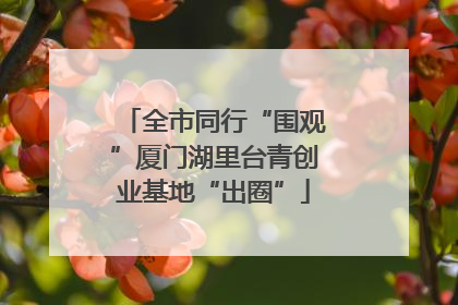 全市同行“围观”厦门湖里台青创业基地“出圈”