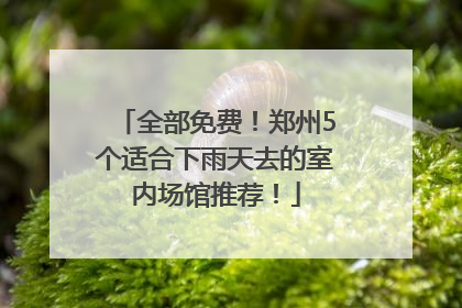 全部免费！郑州5个适合下雨天去的室内场馆推荐！
