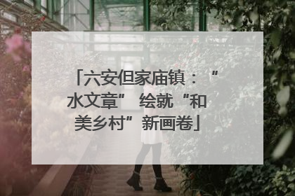 六安但家庙镇：“水文章” 绘就“和美乡村”新画卷