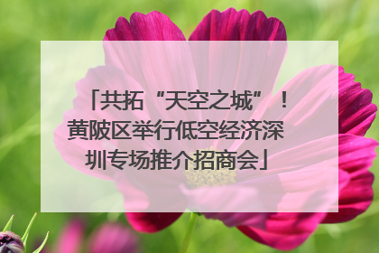 共拓“天空之城”！黄陂区举行低空经济深圳专场推介招商会