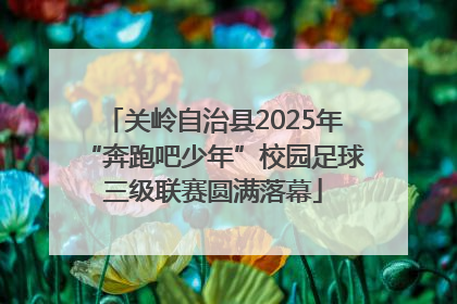 关岭自治县2025年“奔跑吧少年”校园足球三级联赛圆满落幕