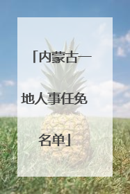 内蒙古一地人事任免名单