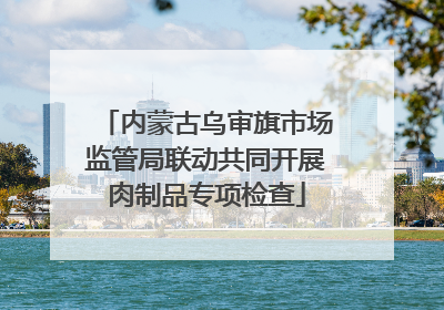 内蒙古乌审旗市场监管局联动共同开展肉制品专项检查