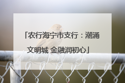 农行海宁市支行：潮涌文明城 金融润初心