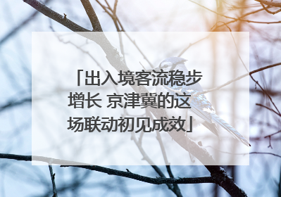 出入境客流稳步增长 京津冀的这场联动初见成效