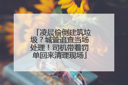凌晨偷倒建筑垃圾？城管追查当场处理！司机带着罚单回来清理现场