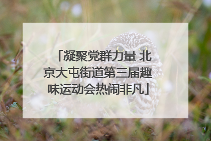 凝聚党群力量 北京大屯街道第三届趣味运动会热闹非凡